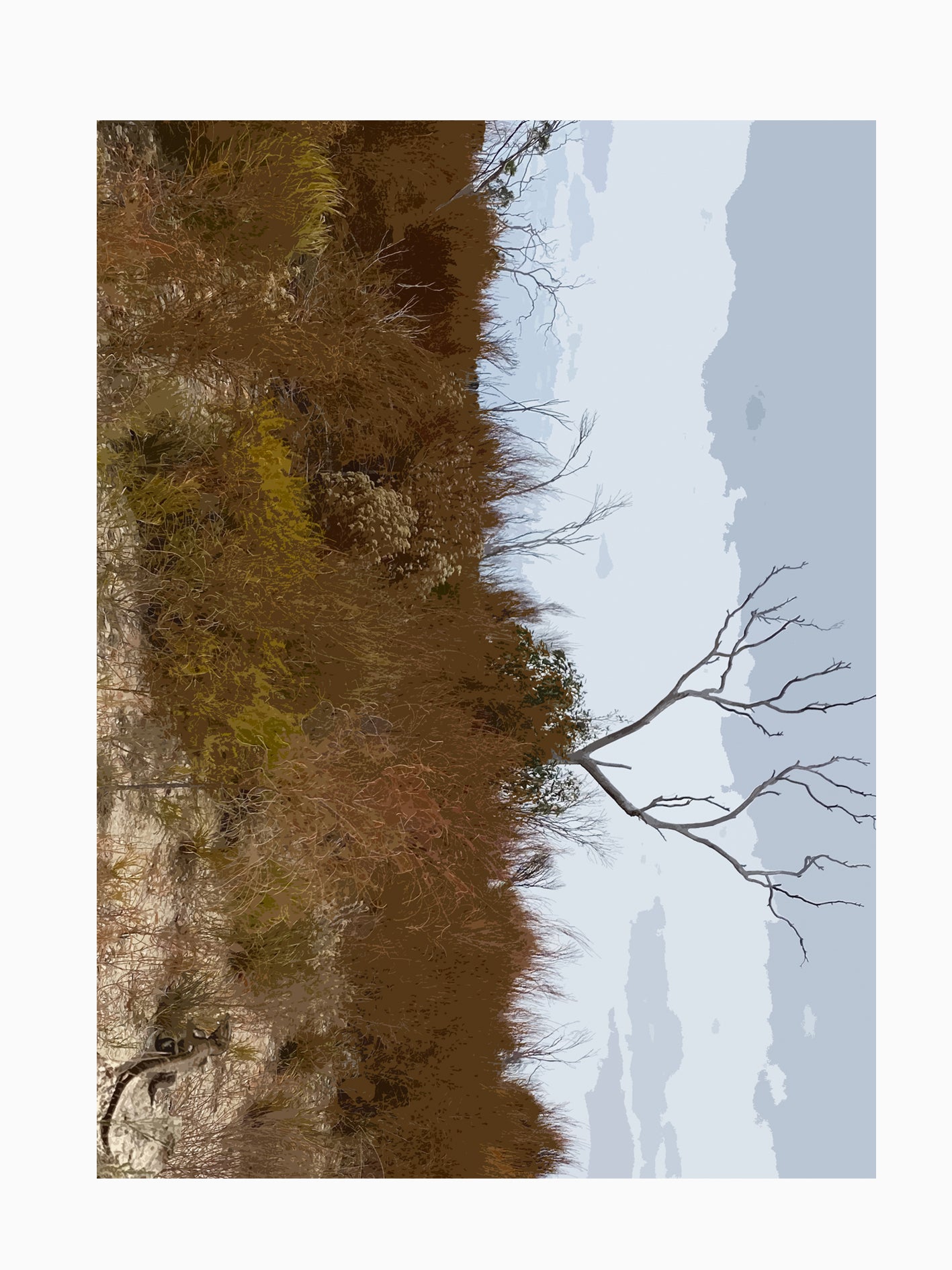 LUXURY SHAWL // Goanna