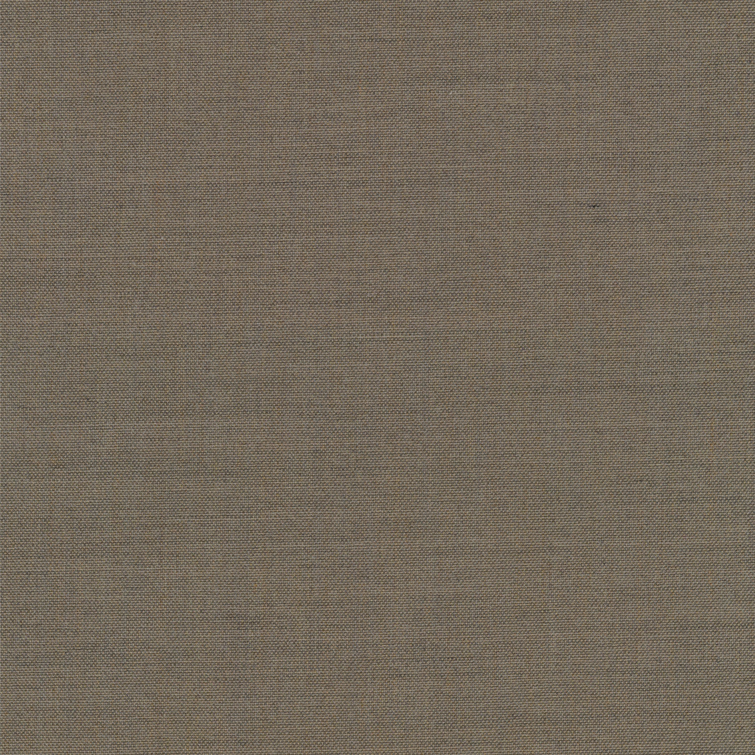 SALE - DINING CHAIR // NEVA LIGHT, Oak 233