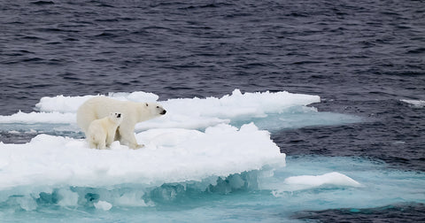 Climate Change - we can't afford to wait until 2030/2050