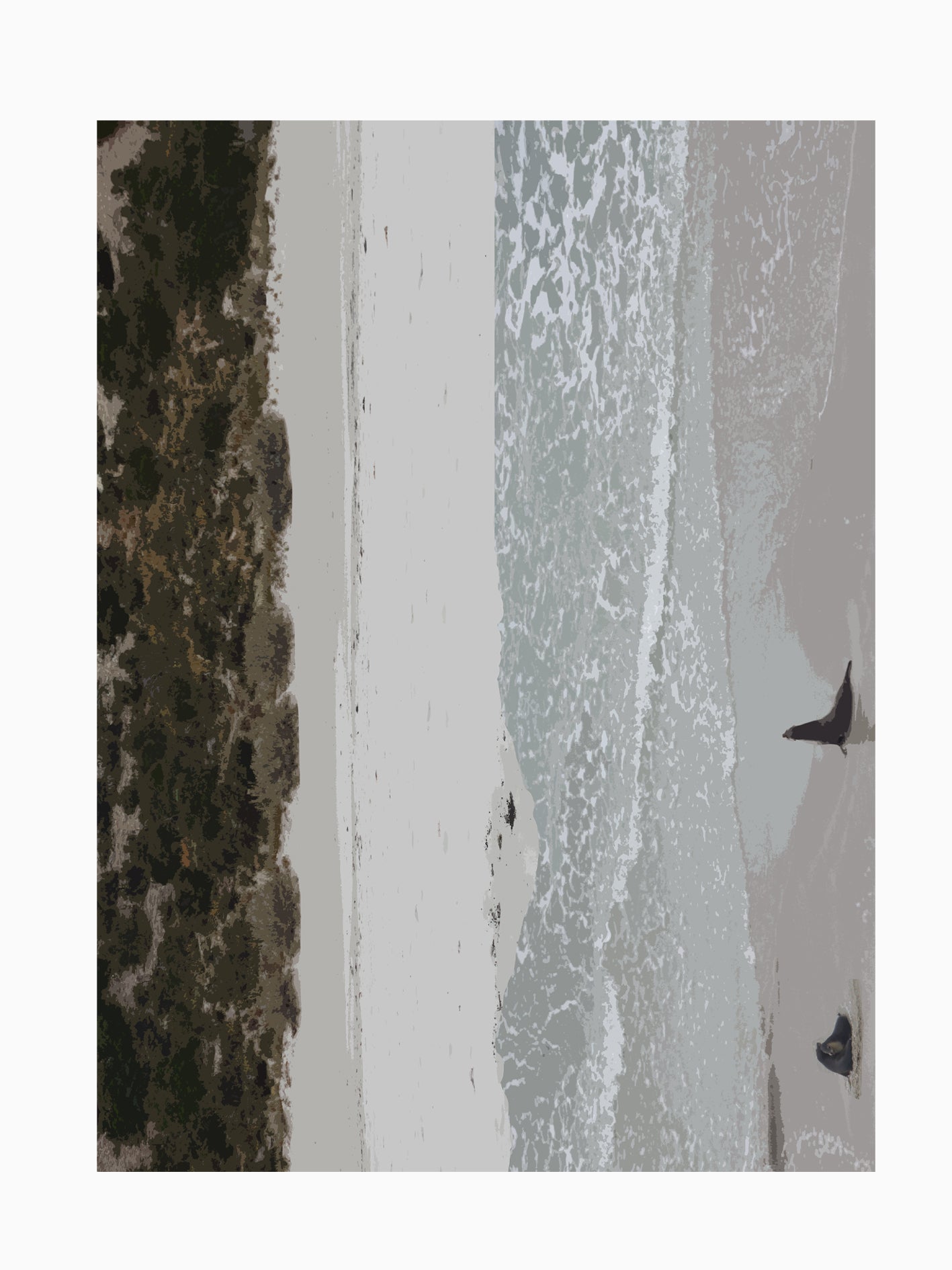 LUXURY SHAWL // Sea Lions