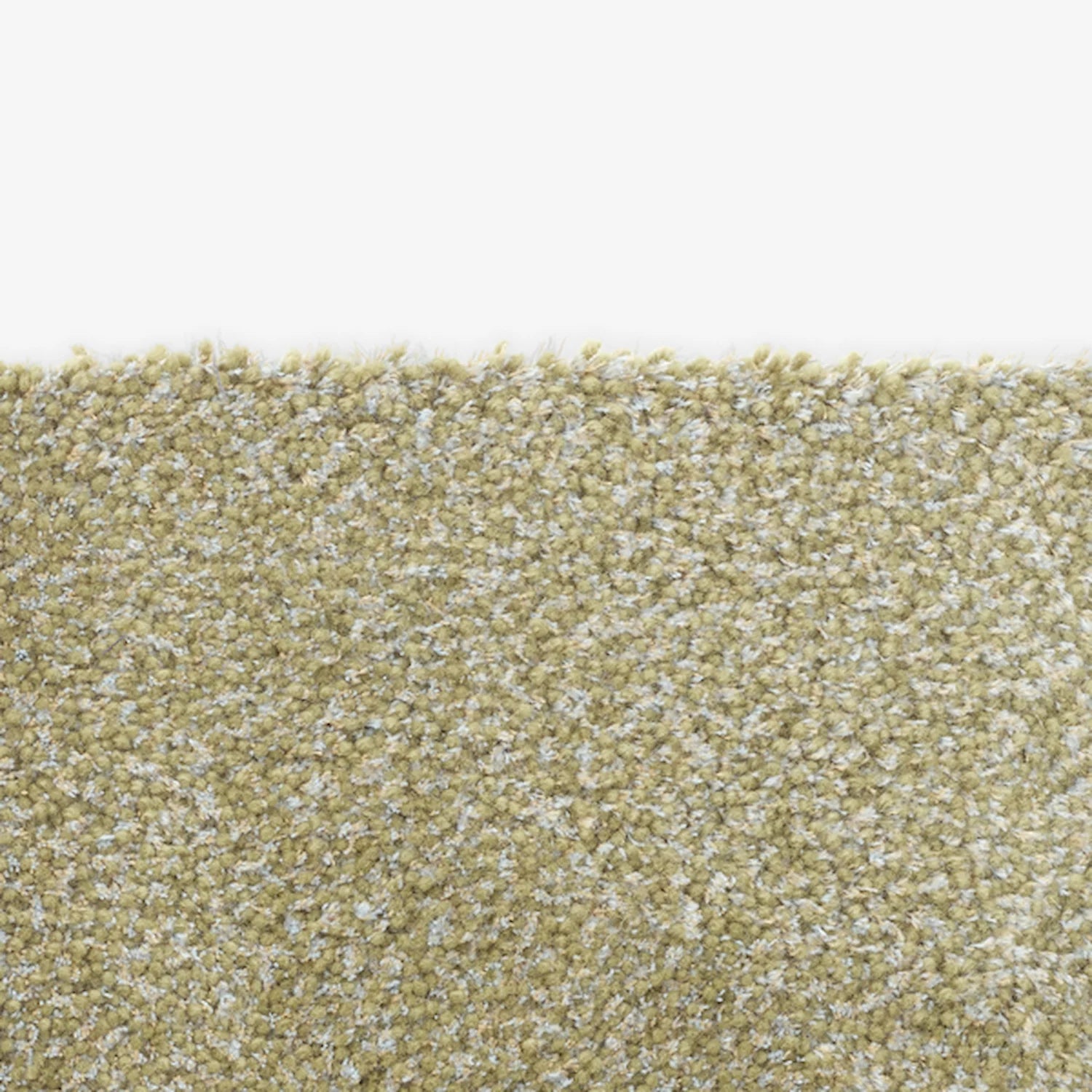 RUG // [Tufted] BRAVOURE #220