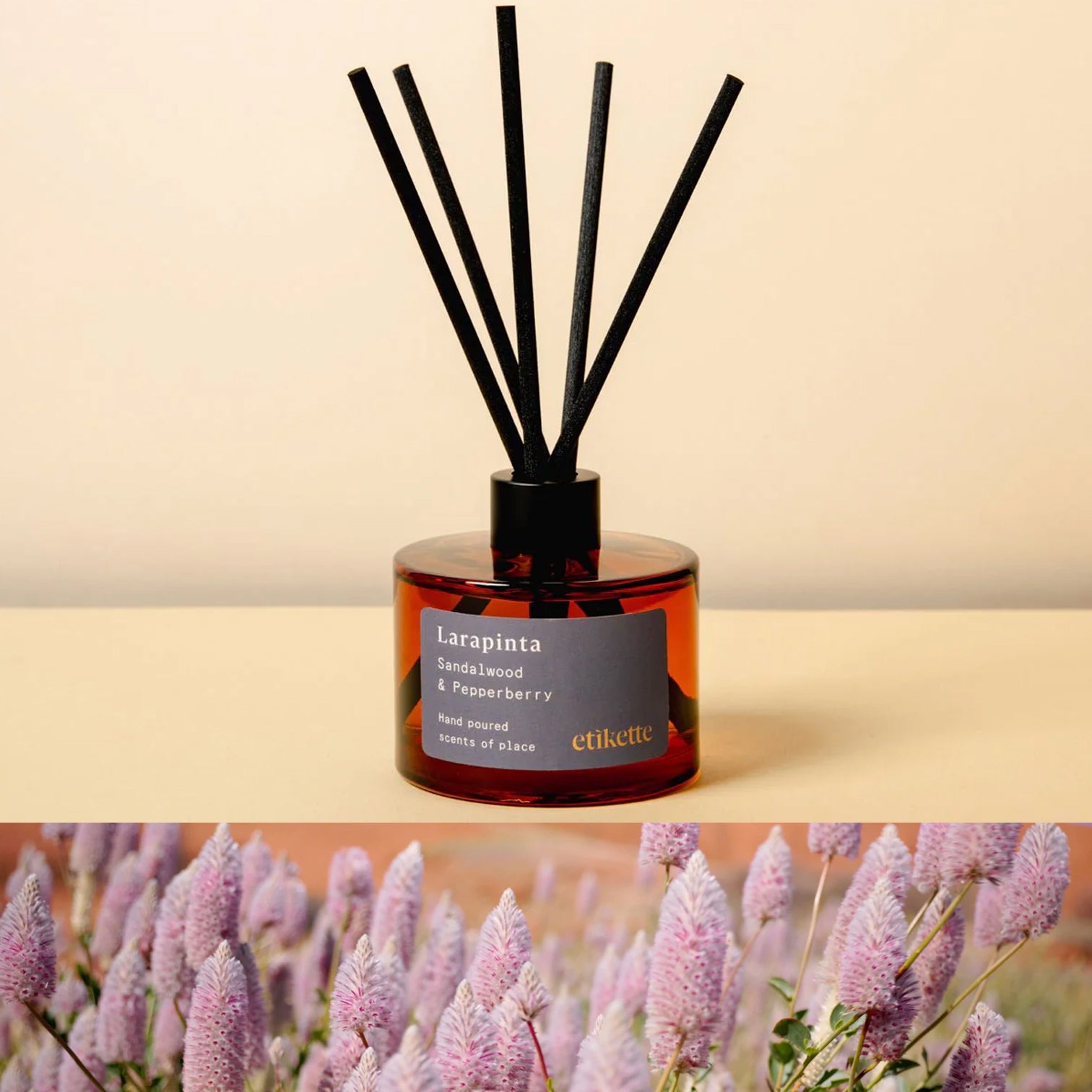 ECO DIFFUSER //  LARAPINTA