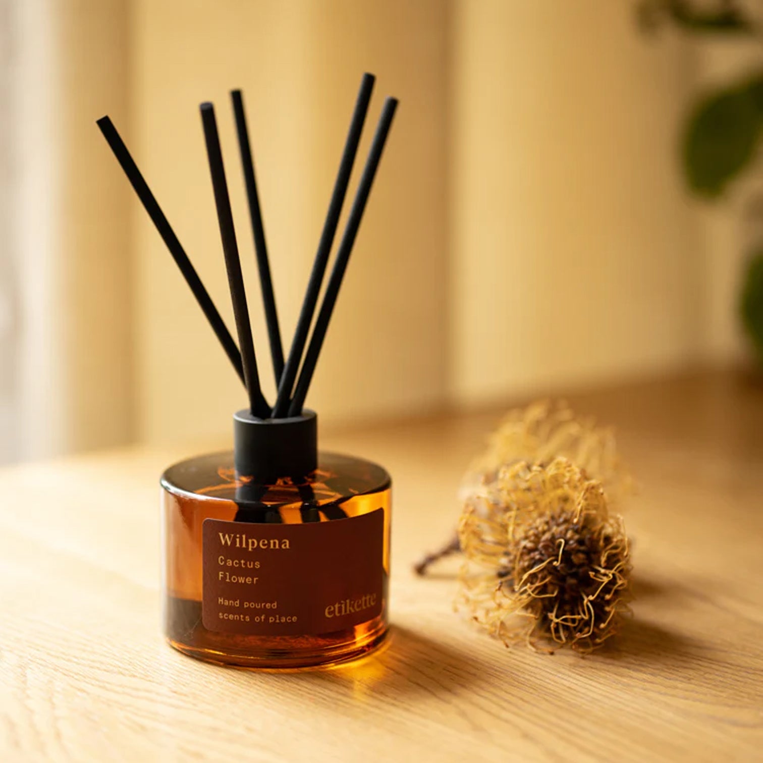 Eco Diffuser - WILPENA [Cactus Flower]