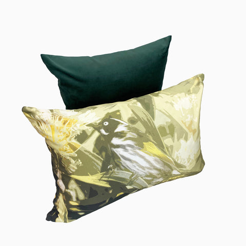 CUSHION // Honey Eater [35X50cm]