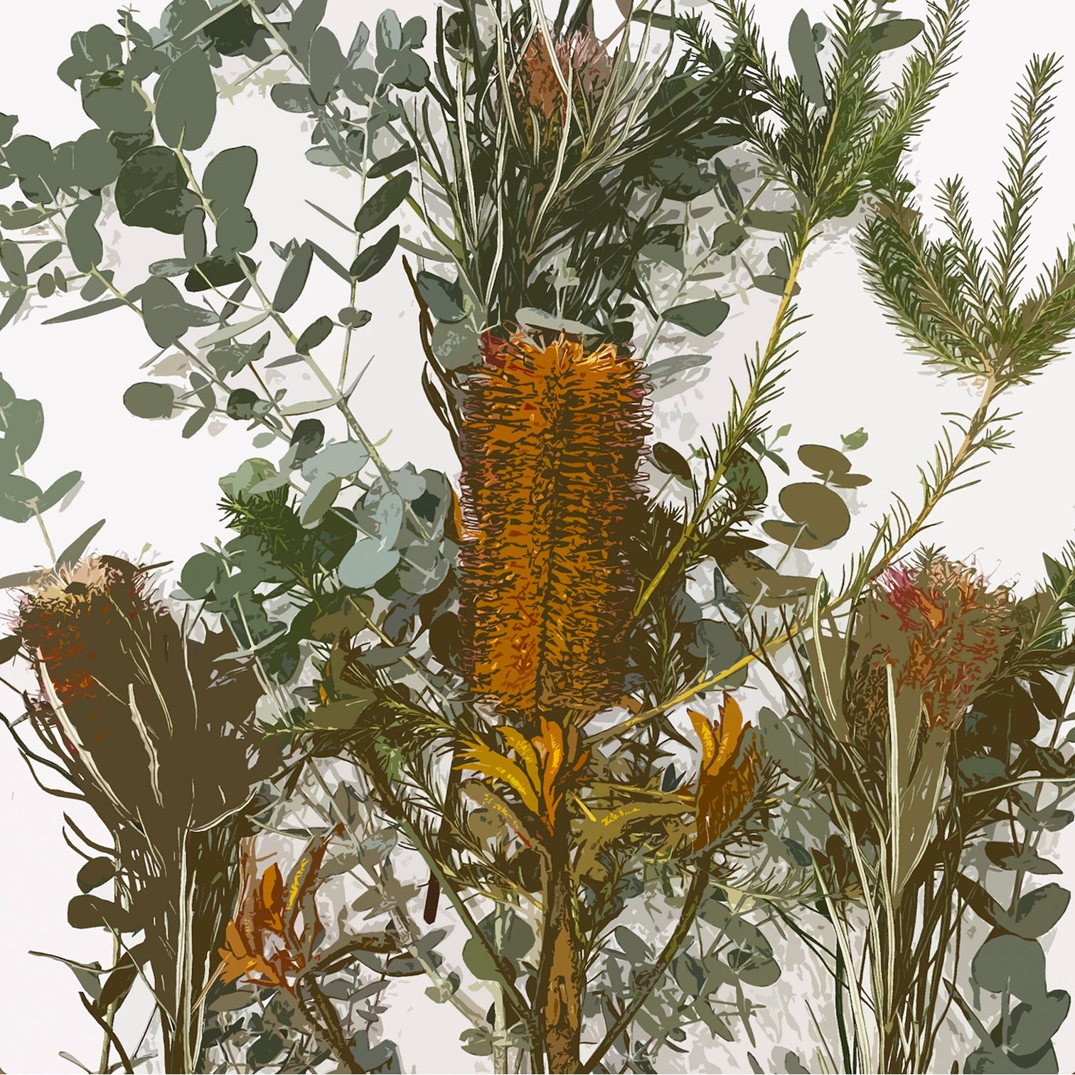 PLACEMATS - Banksia [2]
