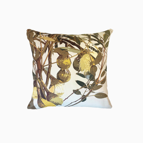 CUSHION // Pyriformis [40X40cm]