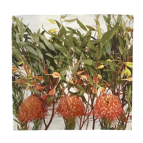 PLACEMATS - Leucospermum [2]