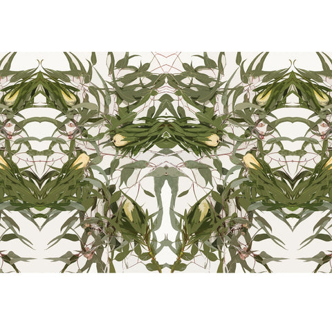 FABRIC // Eucalypt & Protea