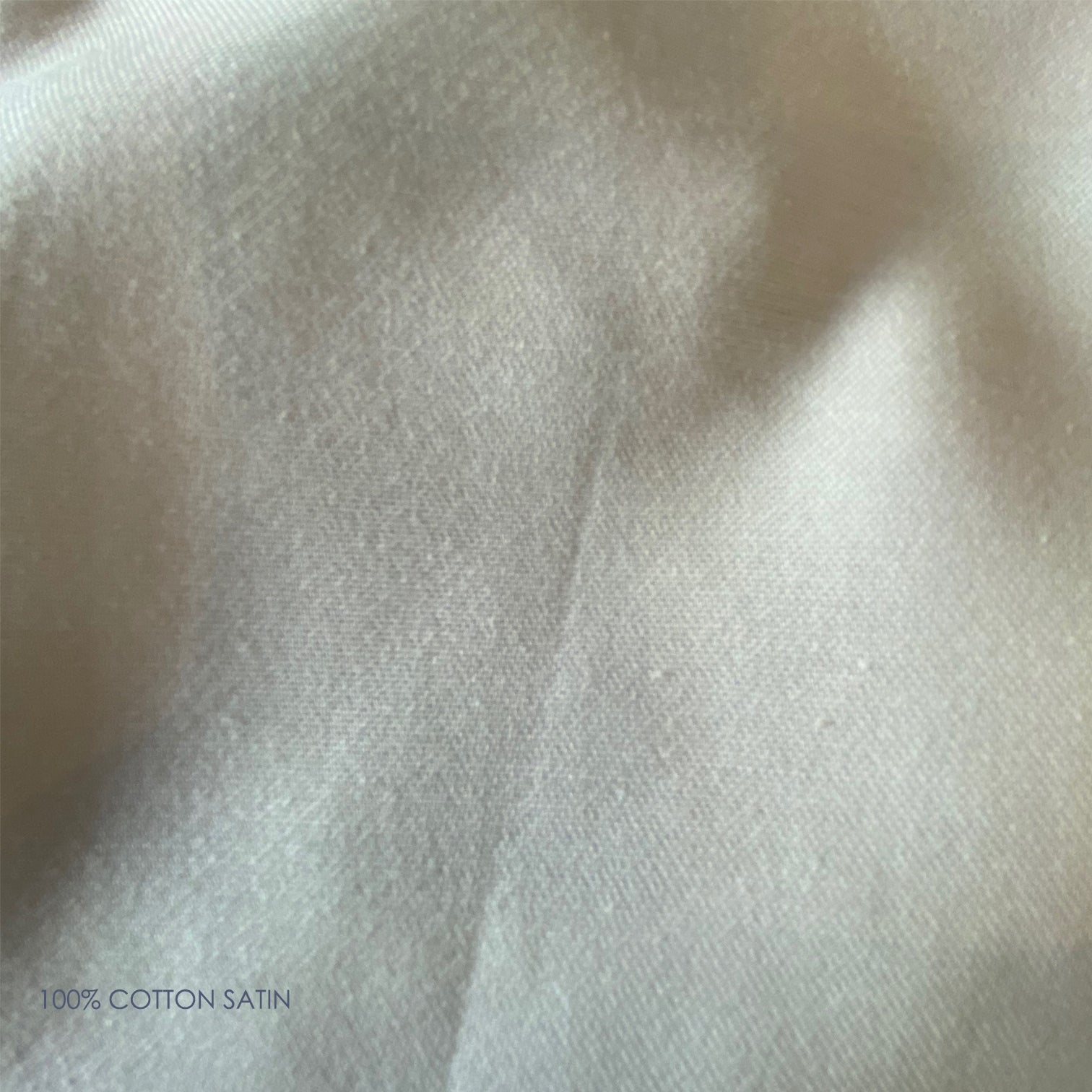 FABRIC or WALLPAPER // Lanceolate