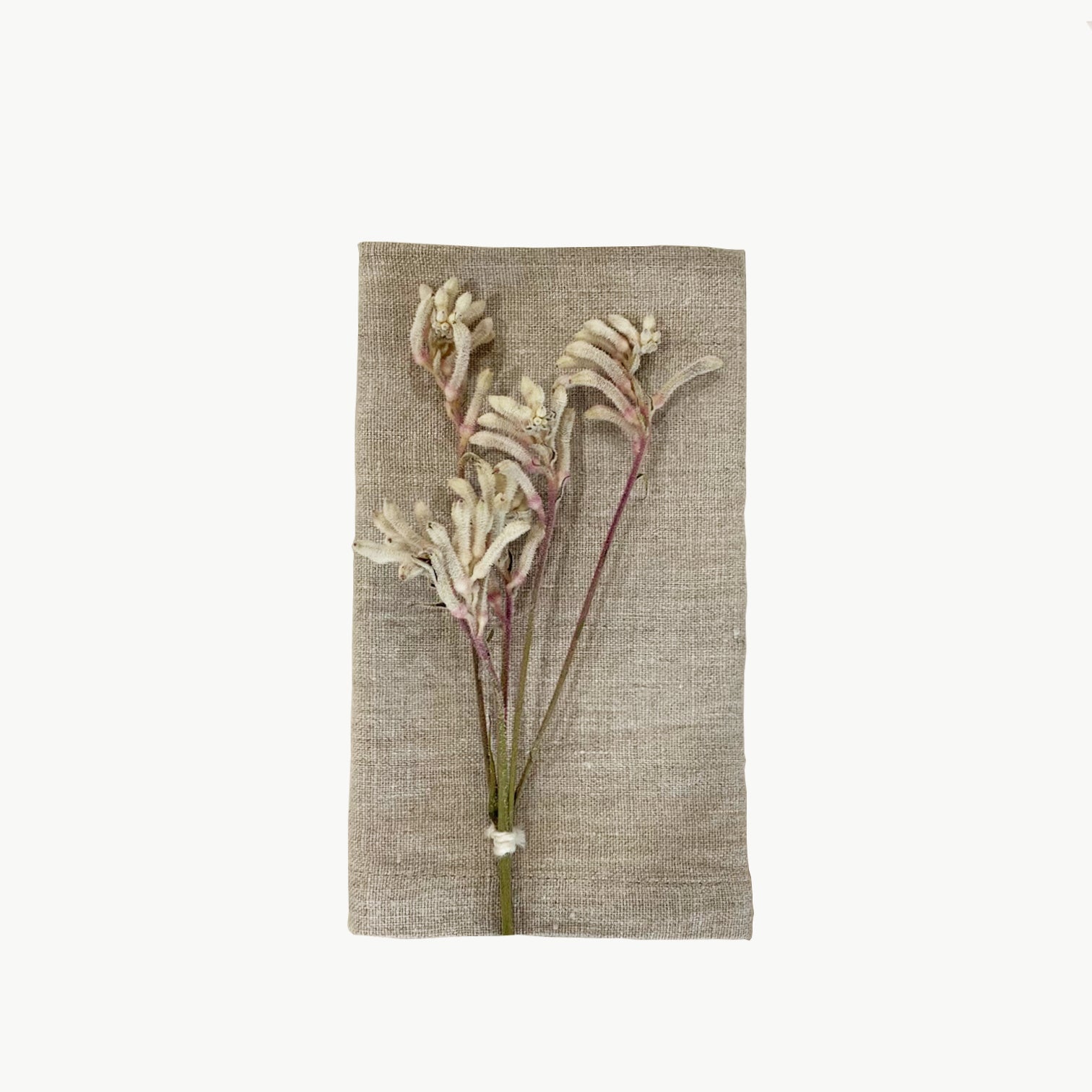 NAPKINS // Linen, NATURAL [2]